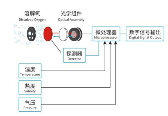 在線熒光法溶氧傳感器工作原理